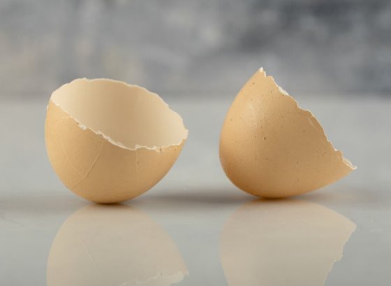002_204_IMG_Copyofbroken brown eggshell marble surface